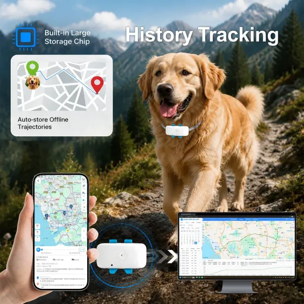 VP-Pet 4G Pet GPS Tracker with Custom Packaging Service
