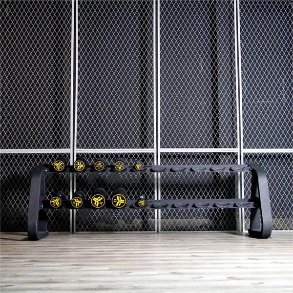 Befreeman Hot Sale High Quality Gym Equipment Commercial Dumbbell Rack