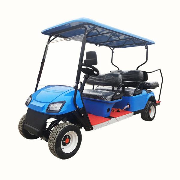Scenic Tour Golf Cart Electric Car Sightseeing House Hotel Reception