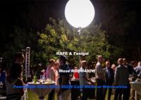 Iluminación inflable del acontecimiento de la luz 800w 80000lm del globo LED