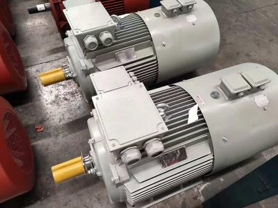 IE4 38KW Moteurs de cage d'écureuil asynchrone 8 pôles AC 220v 440v 380v 50hz moteur à 3 phases