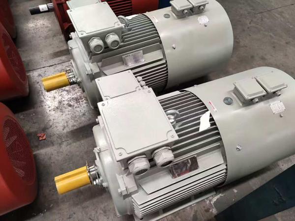 IE4 38KW Asynchronous Squirrel Cage Motors 8 Pole AC 220v 440v 380v 50hz 3 phase motor