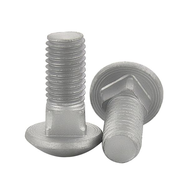 Coach bolts