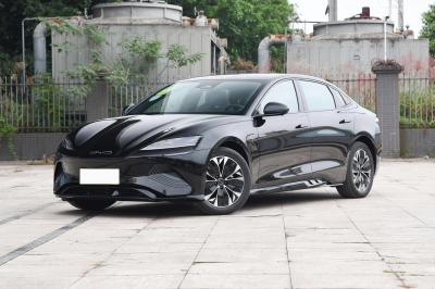 4 version de résistance de roue de la chaîne 4 de la voiture électrique EV 650KM de Seater BYD longue