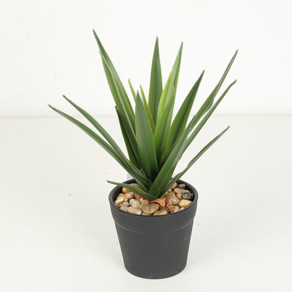 Texture Fidelity Greenery Agave Faux Bonsai Tree 22 CM 25 CM 29 CM