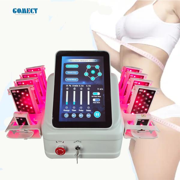 Máquina de escultura de corpo portátil vertical 6D Lipo Laser com 6 comprimentos de onda