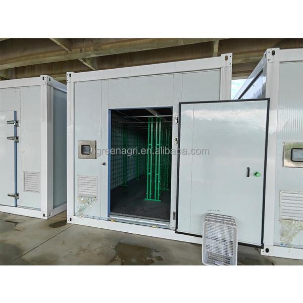 Single Span Greenhouse 20ft Agricultural Greenhouse For Mushroom Cultivation
