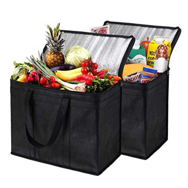 Reinforced Food Delivery Insulated Cooler Bag, Promotional Custom Recyclable Aluminum Foil Picnic Insulated Lunch