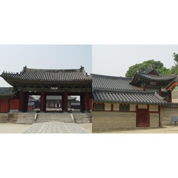 Construction de logements faite main calorifuge ignifuge de thé de Clay Roof Tiles For Traditional