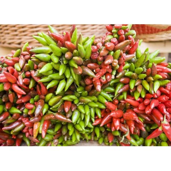 Красный сушеный птичий глаз чили обеспечивает витамин А витамин С железо / кальц