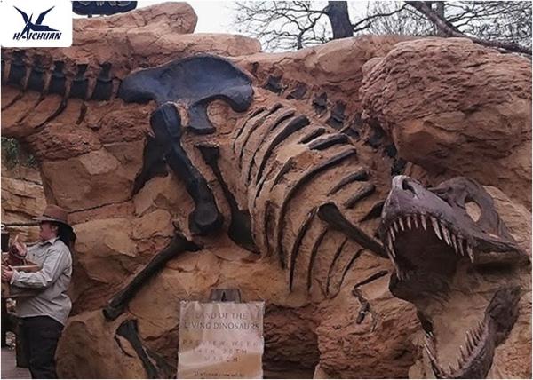 Handmade Museum Dinosaur Skeleton Replica For Outdoor Decoration Warranty 1 Year