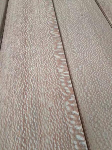 0.6mm Sliced Sapelli Sapele Pommele Natural Wood Veneer for Furniture Plywood Architectural Woodwork and Interior Decora