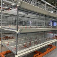 Les équipements U de ferme avicole de couche forment le système de cage de poulet de batterie de rangée du cadre 3 pour étendre des fermes d'oeufs