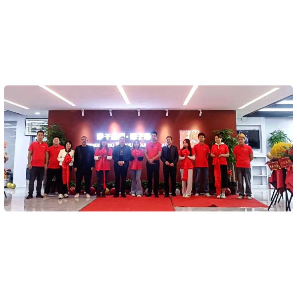 Car Front Grill 4x4 ABS Plastic for Toyota LC300 2021 OEM MODEL Decoration Protection