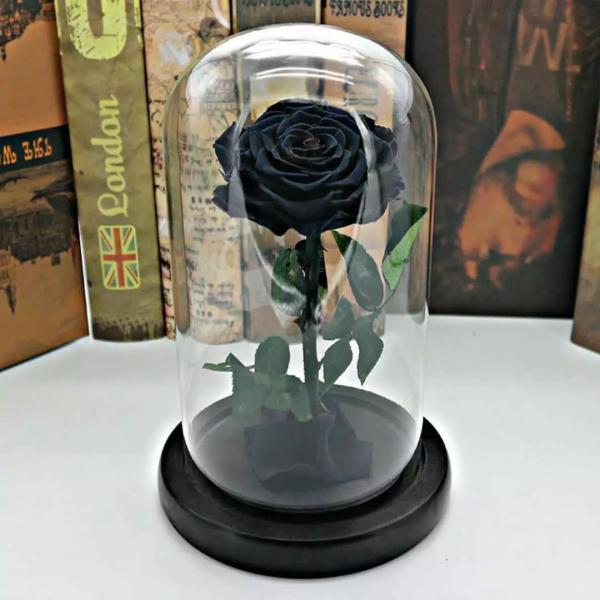 Preserved Rose Flower The Little Prince for Lasting Decoration