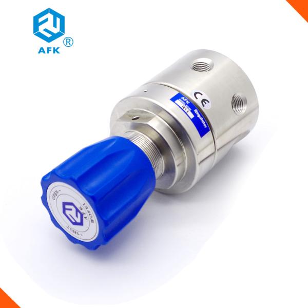 Liquid Stainless Steel Pressure Regulator Panel Mounting With Gauge Manometer