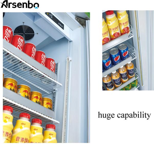 110V 60Hz Commercial Cold Drink Fridge , Luster Plate Retail Beverage Refrigerator