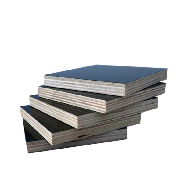 WBP Grade Poplar Veneer Plywood First Class No Warping Long Service Time