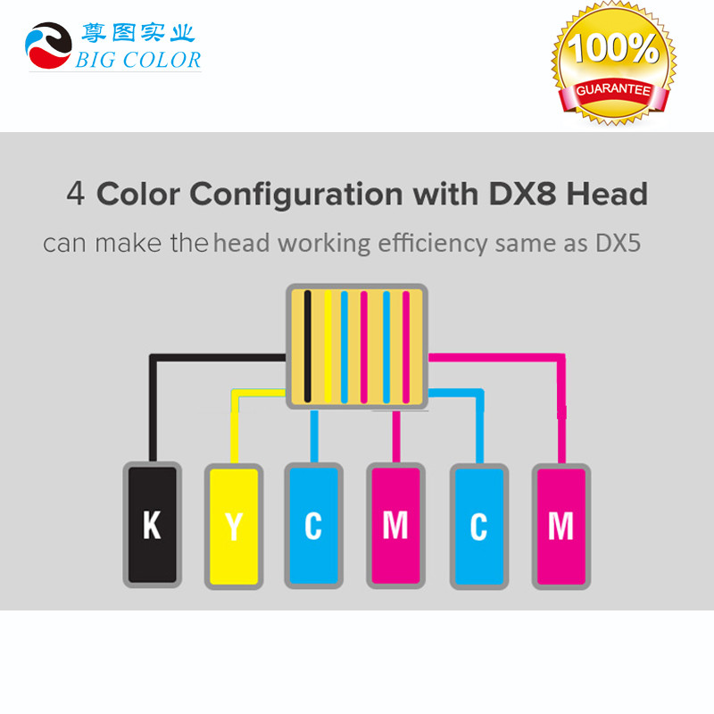 Indoor Decoration 1.6m Eco Solvent Printer with 110 KG Capacity Inkjet Tx 800 Printer