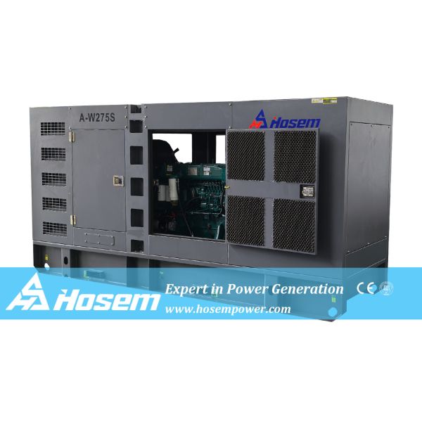 200kW 250kVA Soundproof Diesel Generator Powered by Weichai Engine | Hosem Power