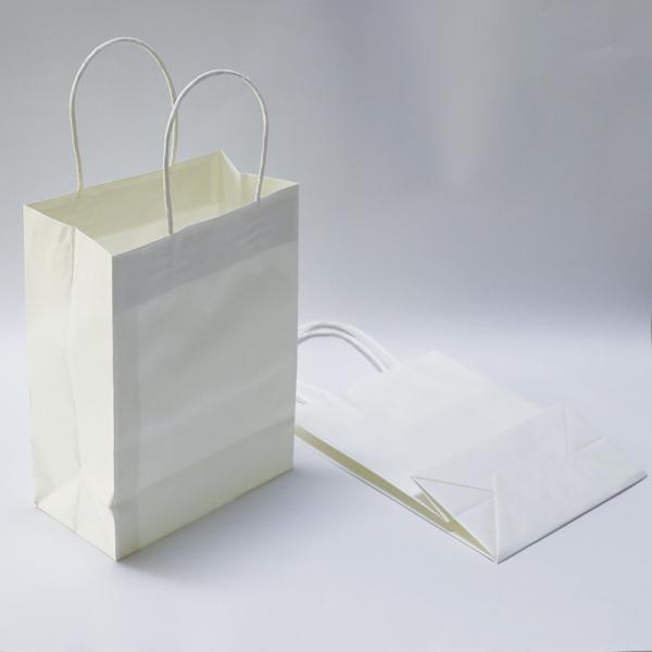 5kg Printed Paper Carrier Bags