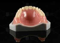 Lucitone 199 Dentadura completa Dientes acrílicos Curando por calor Dentadura completa acrílica