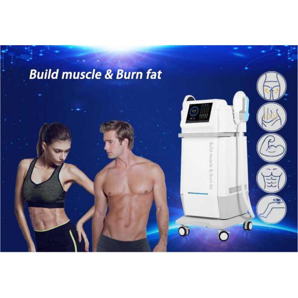 1 - 100Hz EMS RF máquina estacionaria EMS máquina de construcción muscular 220V