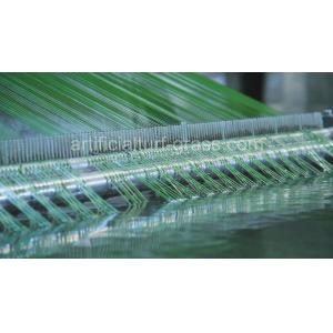 All Victory Grass (Guangzhou) Co., Ltd
