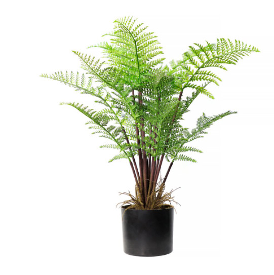 Height 80cm Artificial Potted Floor Plants For  Office Table Decoration Nordic Fern
