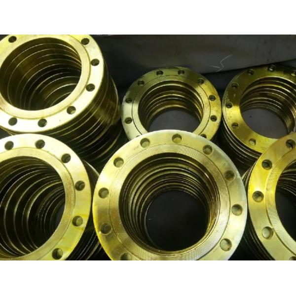 600# Dn50 Galvanized Blind Flange Welding Forged Slip On Flat Plate