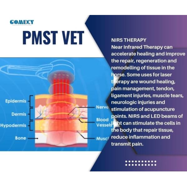 Dispositivo de rehabilitación física de terapia magnética para alivio del dolor veterinario para el cuidado de la salud equina