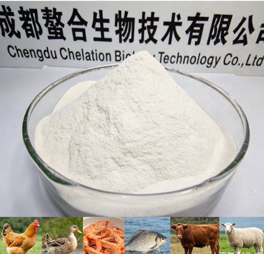 Amino Acid Feed Additives Formulated To Support Aquatic Animal Intestinal Health Promote Shrimp Molting And Enhance Shell Strength