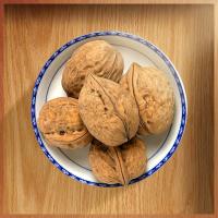 Most Favorite China Best Quality Walnut Nuts para venda no atacado com preço barato