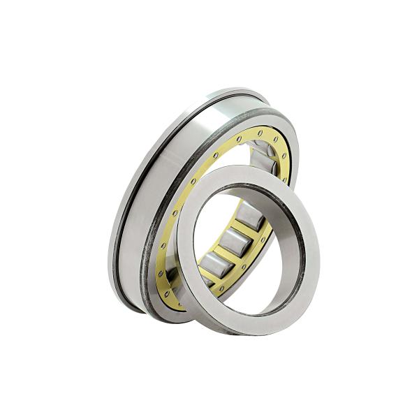 SL185076 Full Complement Cylindrical Roller Bearing , High Speed Ball Bearing
