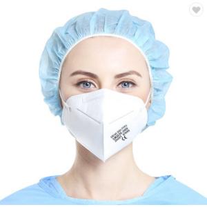N95 Face Mask