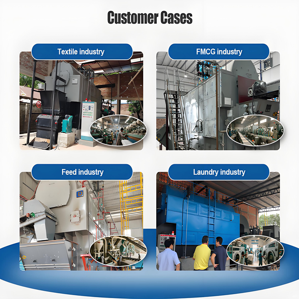DZL 3 Ton Fully Automatic Feeding Chain Grate Coal Biomass Wood Fired Steam Boiler Professional Export Manufacturer