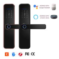 Serrure de porte d'empreinte digitale de Tuya Access Wifi de double de serrure de porte de Smart Wifi de cylindre d'empreinte digitale