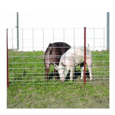 1.2m Height Livestock Hinge Joint Knot Veld Span Galvanized Wire Fence for Poultry