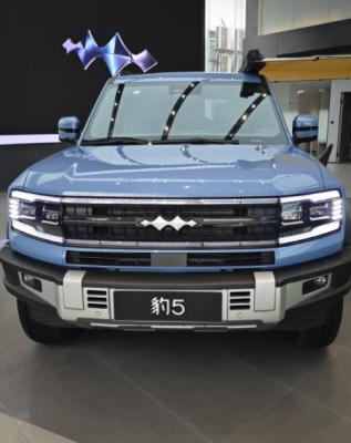Equation Leopard 5 Modern All-Wheel Drive SUV 5-Seater Yunnan Deluxe Edition for Off-Road
