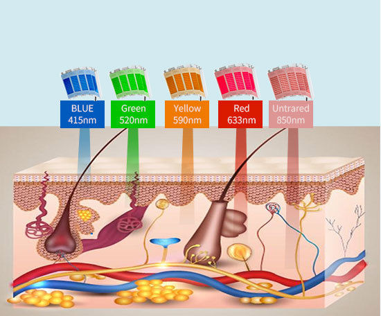 LED PDT Light Therapy Machine 5 Color Skin Rejuvenation Healing System For Clinics