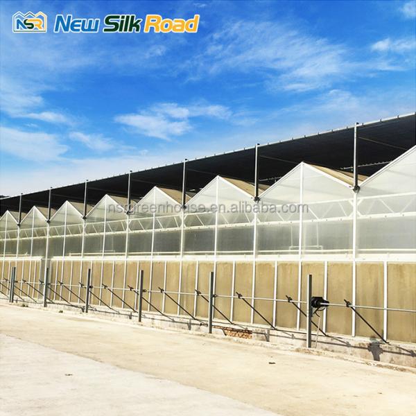 vegetable garden greenhouse frame agricultural greenhouses tunneling polycarbonate greenhouses supplier for plants