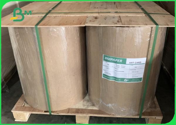 resistência de rasgo do rolo de 270gsm Clay Coated Kraft Back (CCK) 900mm
