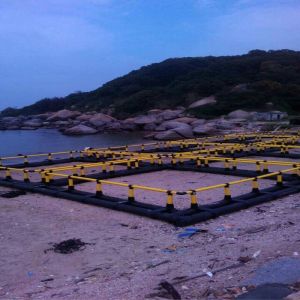 Square Floating Freshwater Integrated Fish Cage