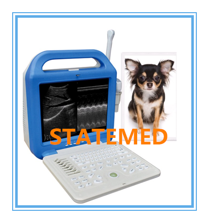 Animal Medical Ultrasound Machine , High Resolution Laptop Vet Portable Ultrasound Device
