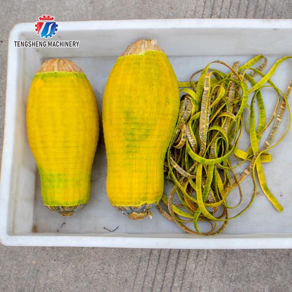 Peeler канталупы ананаса папапайи тыквы 1.0KW 90KG оборудование peeler плода небольшого автоматического коммерчески