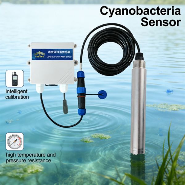 ZONEWU LoRaWAN Wireless Cyanobacteria Online Monitoring Transmitter ，Principle of Fluorescence Method