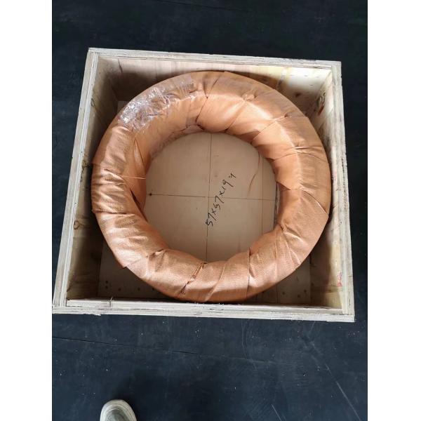 Кольцо нержавеющей стали 2-3mm умирает костюм для поросенка овечки икры