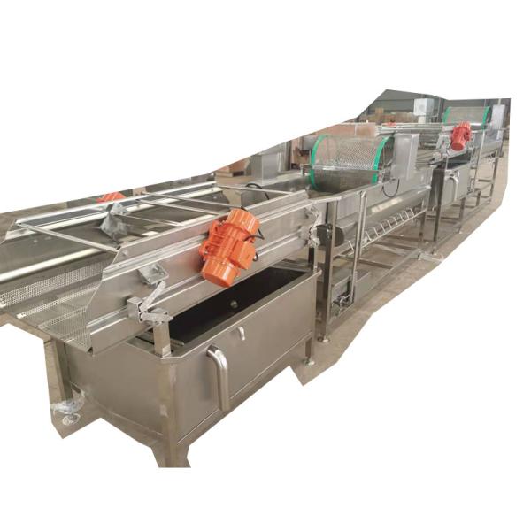 Quality Assured Vial Bottle Glass Bottle Special Bottle Washing Machine Automatic Filling Line Cleaning Machine