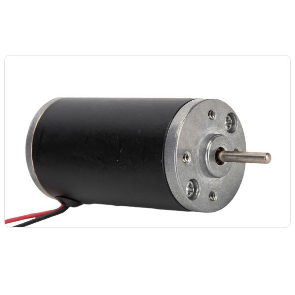 FT-31ZY Carbon Brushed Micro Motor 6V 12V 24V DC Micro Motor For Smart Homes