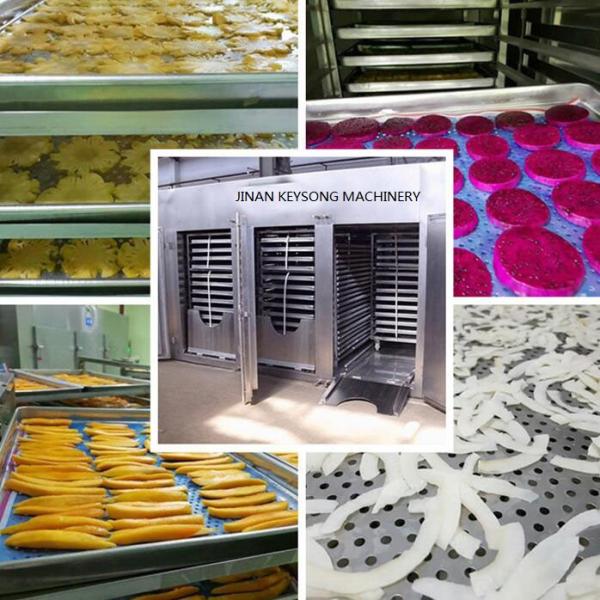 Industrial Fruit and Vegetable Drying Machine Fruit Dehydrator